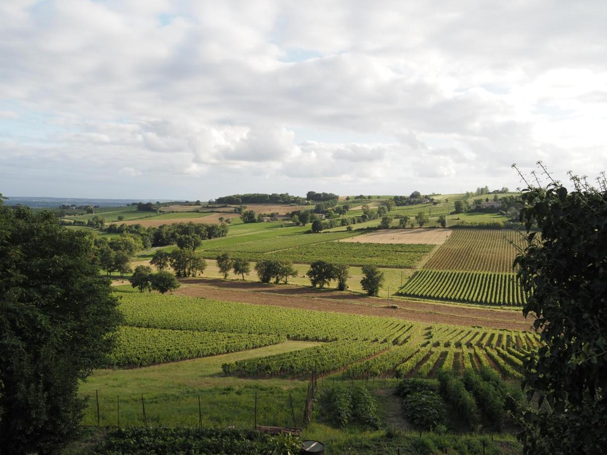 Le Mas De Doat, Gite De Charme 4 Etoiles Dans Le Triangle D Or Proche Gaillac Et Albi Senouillac Exterior foto